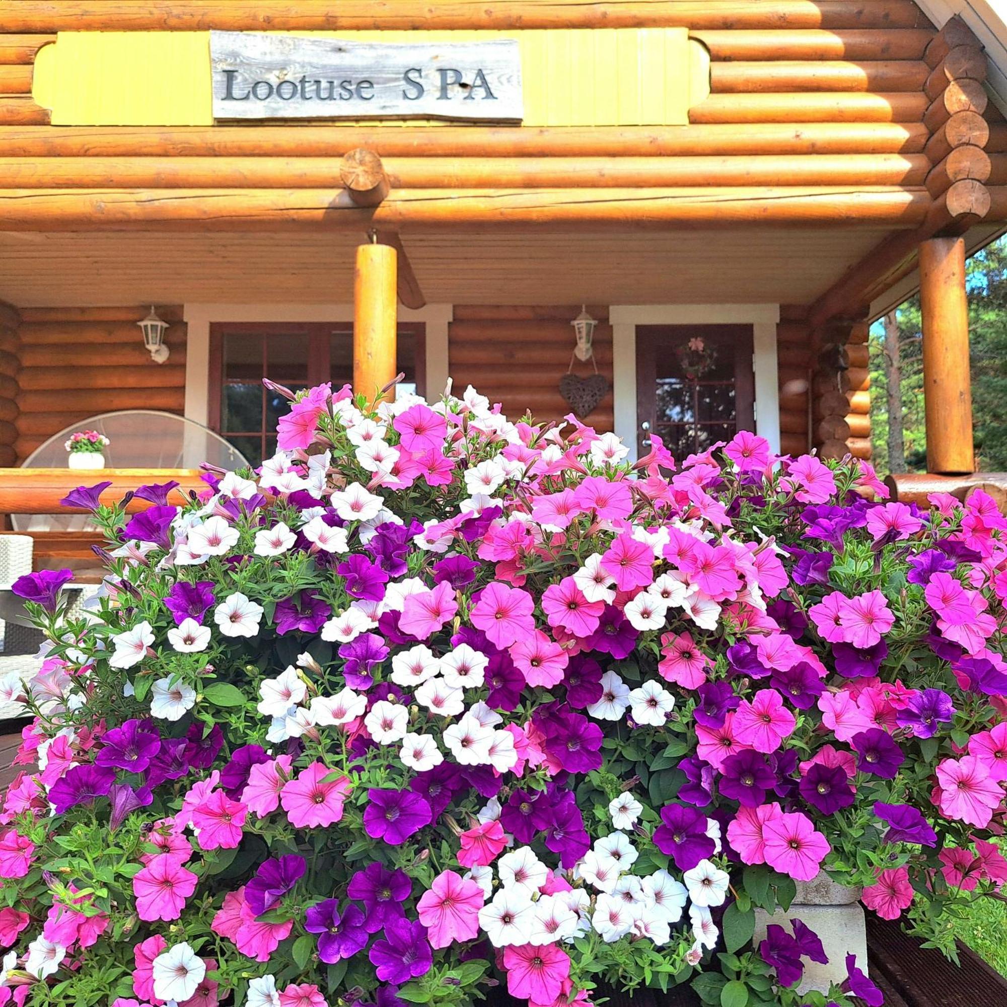 Lootuse Spa Nommemaa Экстерьер фото